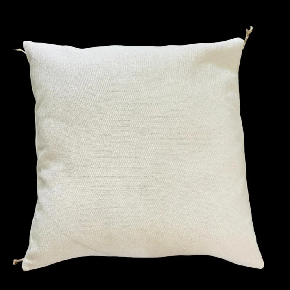 SURYA Sambramba NEW NWOT 20x20 Square Decorative embroidered pillow